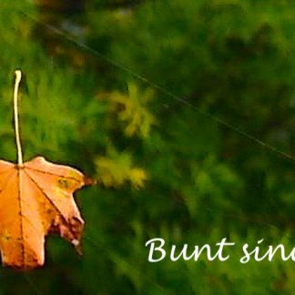 Unsere Kundenlieblinge