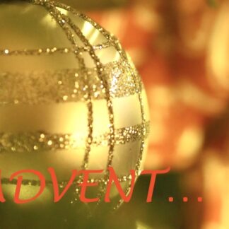 Unsere Kundenlieblinge