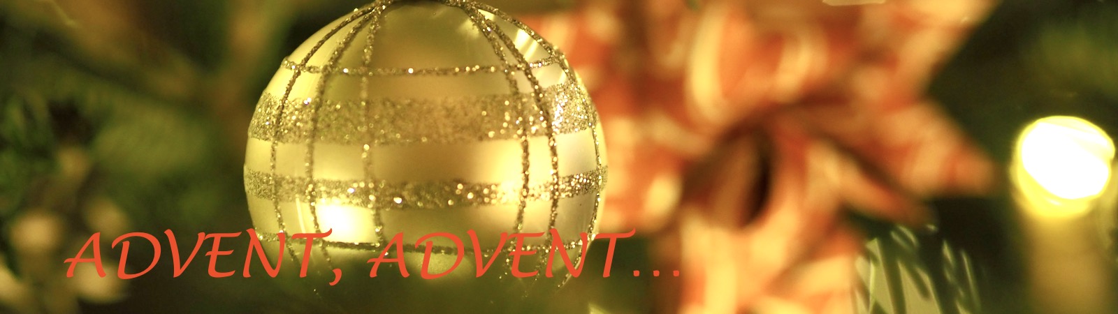 Unsere Kundenlieblinge