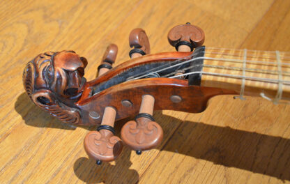 Drachen-Fidel – Bild 4