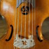 Bass Viola da Gamba - 7-saitig - kleine Mensur – Bild 3